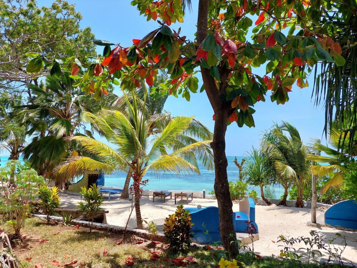 Queen Of Sheba Beach Lodge Pongwe Exterior photo